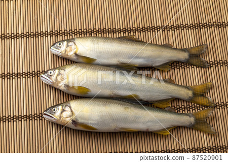 Raw sweetfish lined up on a bamboo mat 87520901
