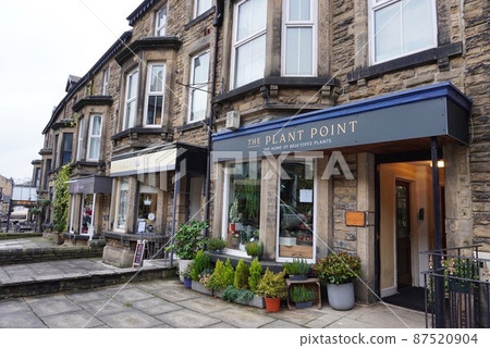 succulent plant, building, buildings 87520904