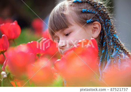 Happy child girl enjoying sweet smell of red tulip flowers in summer garden 87521737