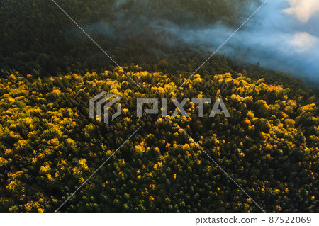 Aerial view of hillside with dark spruce forest trees at fall bright day. Beautiful scenery of wild mountain woodland 87522069
