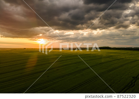 Aerial landscape view of green cultivated agricultural fields with growing crops on bright summer evening. 87522320