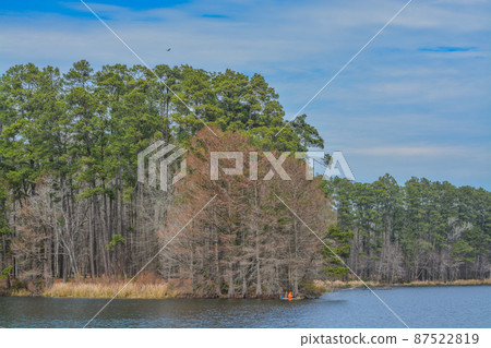 Beautiful Ratcliff Lake with a Kayaker in the distance at Ratcliff Lake Recreation Area, Ratcliff, Texas 87522819