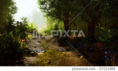 Landscape with wooden fence grassy meadow and path Landscape with wooden fence grassy meadow and path 87522866