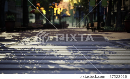 empty closed Park during the covid-19 pandemic in 2020 87522916