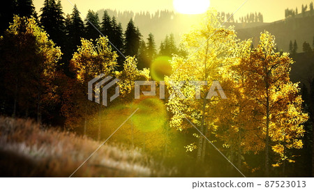 bright sunset in the mountains bright sunset in the mountains 87523013