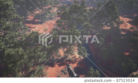 aerial view of landscape with green tropical trees and local roads aerial view of landscape with green tropical trees and local roads 87523014