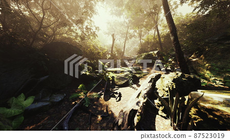 hyperlapse timelapse of beautiful tropical jungle 87523019