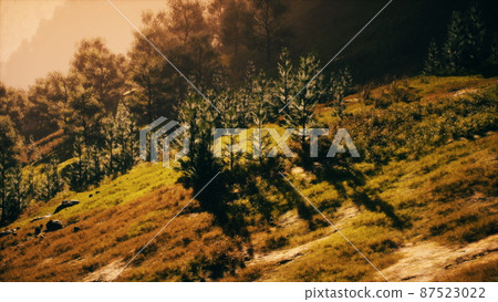 autumn morning with fog in mountains autumn morning with fog in mountains 87523022