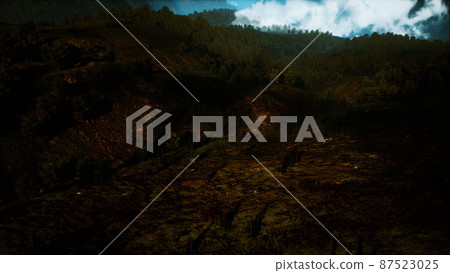 autumn forest on green rocky hills autumn forest on green rocky hills 87523025
