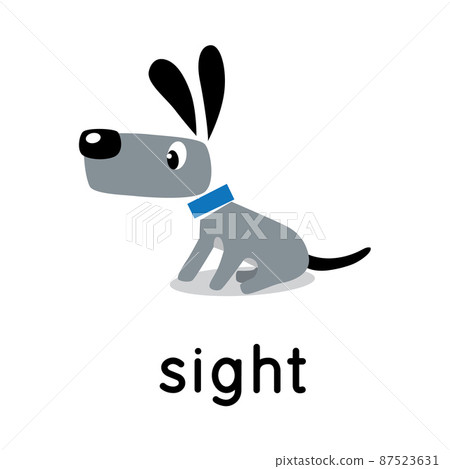 The dog stands and looks. Five senses. Sight The dog stands and looks. Five senses. Sight 87523631