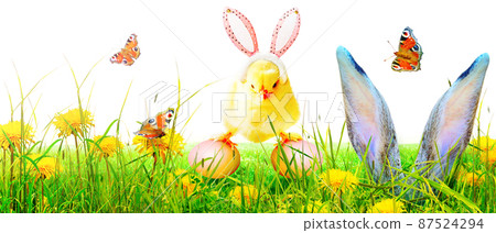 Little cute newborn baby chick for Easter celebration. Little cute newborn baby chick for Easter celebration. 87524294