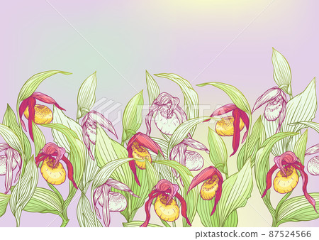 Lady's slipper orchid, Cypripedioideae, Seamless pattern, background.  87524566