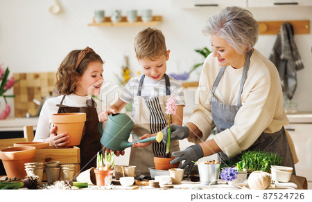 Granny and children transplanting flowers at home 87524726