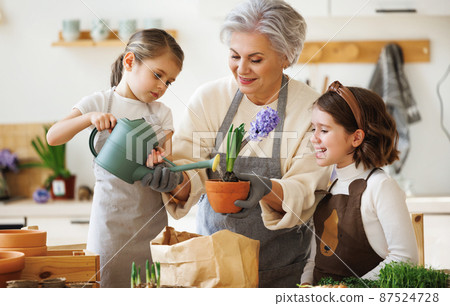 Granny and girls transplanting flowers at home Granny and girls transplanting flowers at home 87524728