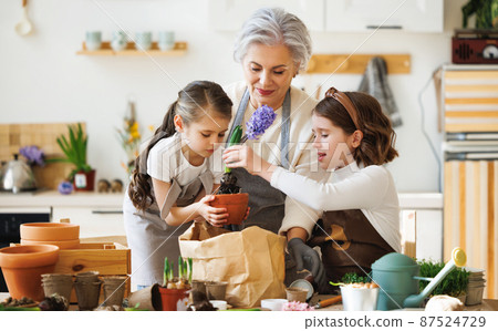 Granny and girls transplanting flowers at home 87524729