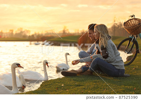 Young couple near lake with swans at sunset. Perfect place for picnic 87525390