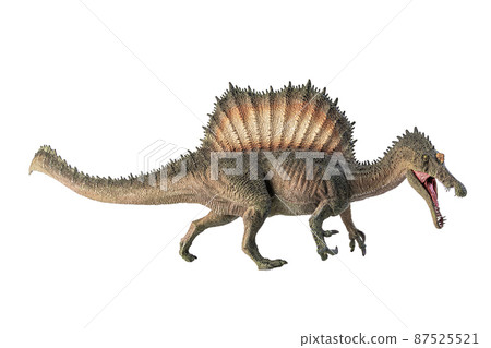 Spinosaurus , dinosaur on white background . 87525521