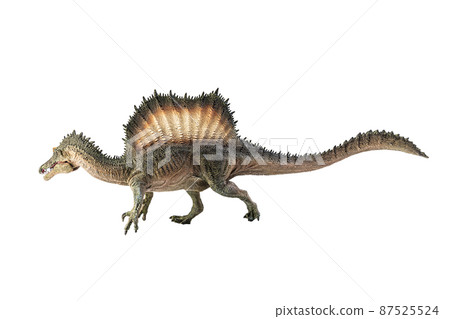Spinosaurus , dinosaur on white background . 87525524