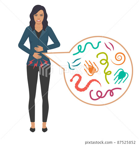 Vector Illustration of a Human Intestinal Parasites, worm disease 87525852