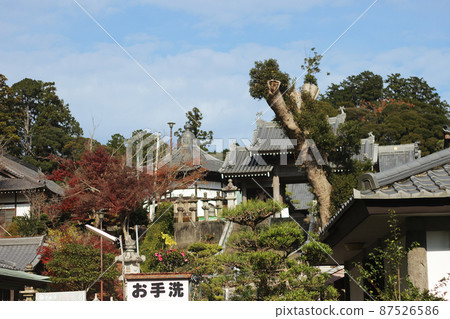 是Nemutoki 是Nemutoki 87526586
