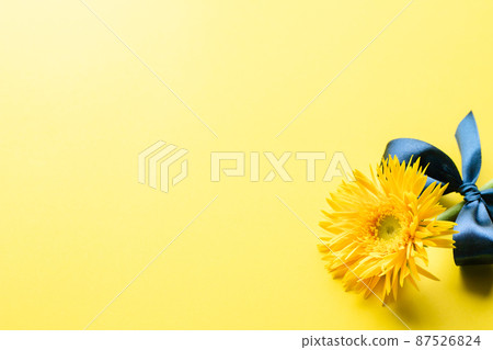 Yellow gerbera flower background material 87526824