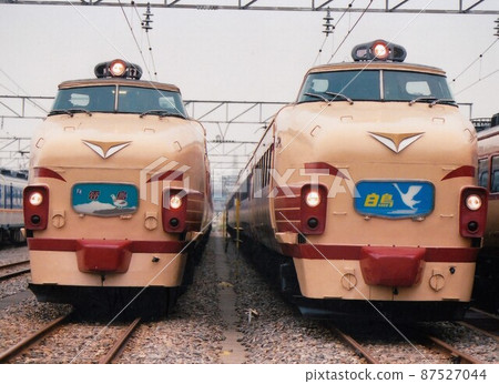 485 series bonnet "Thunderbird" "Swan" 485 series bonnet "Thunderbird" "Swan" 87527044