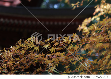 Oyama-ji Oyama-ji 87527094