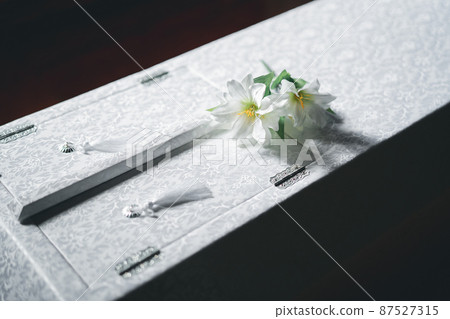 Coffin and Buddha flower Coffin and Buddha flower 87527315