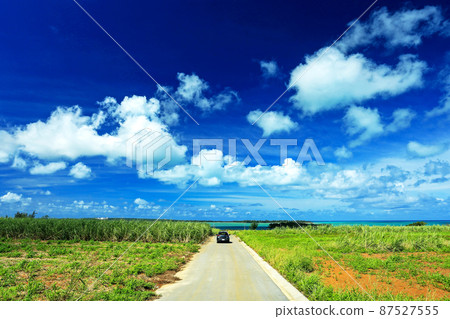 沖繩宮古島通往美麗大海的甘蔗田路 87527555