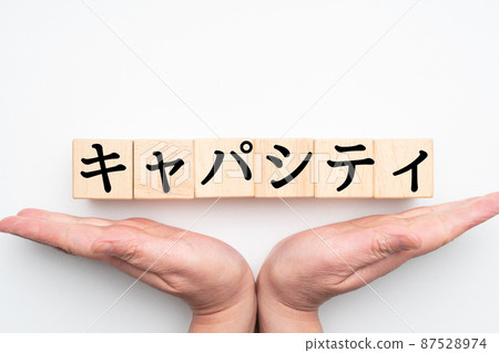 圖像容量 87528974