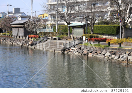 Shinkawa Senbonzakura Monument, Edogawa-ku, Tokyo Shinkawa Senbonzakura Monument, Edogawa-ku, Tokyo 87529191