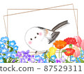 Long-tailed Tit Snow Fairies Flowers (Nemophila, Violets, Poppies, Carnations, Tulips) 87529311