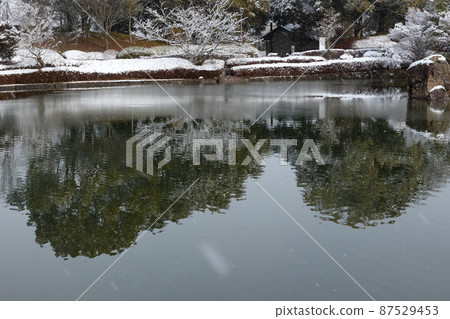 下雪天公園裡有薄冰的池塘 下雪天公園裡有薄冰的池塘 87529453