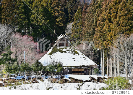 Kuzukawa Thatched House 87529941