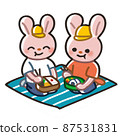 Rabbit eating lunch 87531831