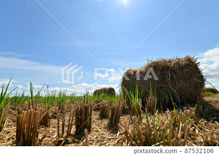 Rice straw roll 87532106