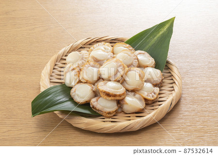 小扇貝 87532614