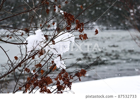 [滋賀] 西池結冰的雪景 87532733