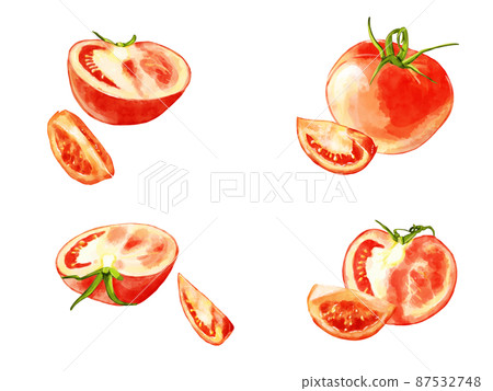 手繪水彩番茄插畫點線集 87532748