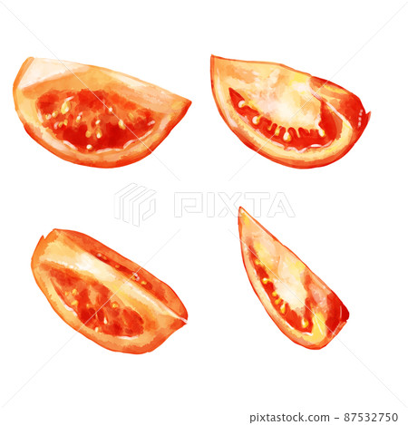手繪水彩梳剪番茄插圖集 87532750