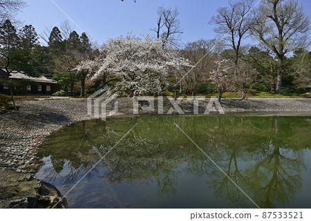 京都 Sento 皇宮 Seikatei 和 Sakura 87533521