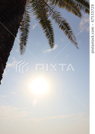 Phoenix blue sky sun 87533729