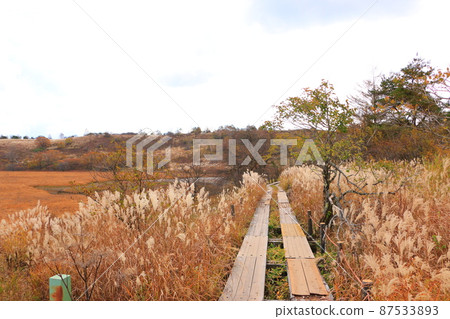 Hachijigahara Marsh Hachijigahara Marsh 87533893