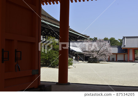 Kyoto Imperial Palace Shrine Plaza Sakurai Cherry Blossoms Kyoto Imperial Palace Shrine Plaza Sakurai Cherry Blossoms 87534205