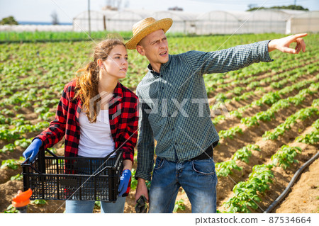 Farmer young man and woman communicate in the field 87534664