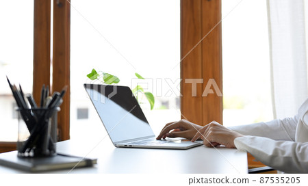 Side view, Smart businesswoman working on laptop computer Side view, Smart businesswoman working on laptop computer 87535205
