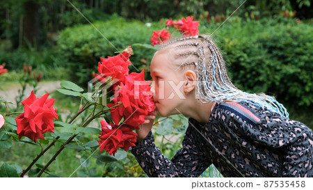 Little Girl with African Braids Smells Fragrant Rosebush in Spring Park Little Girl with African Braids Smells Fragrant Rosebush in Spring Park 87535458