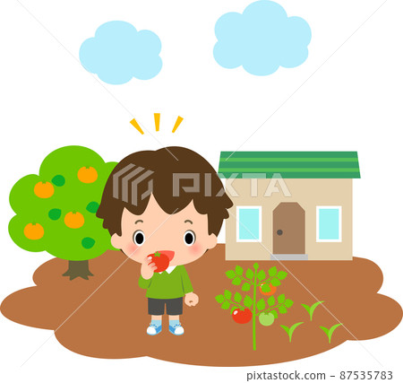 Boys eating tomatoes and fields Boys eating tomatoes and fields 87535783