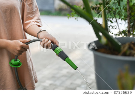 Female watering plants in the garden with hose. Gardening, hobby, domestic life concept. 87536629