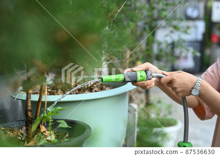 Young woman holding hose and watering plants in garden. Gardening, hobby, domestic life concept. Young woman holding hose and watering plants in garden. Gardening, hobby, domestic life concept. 87536630